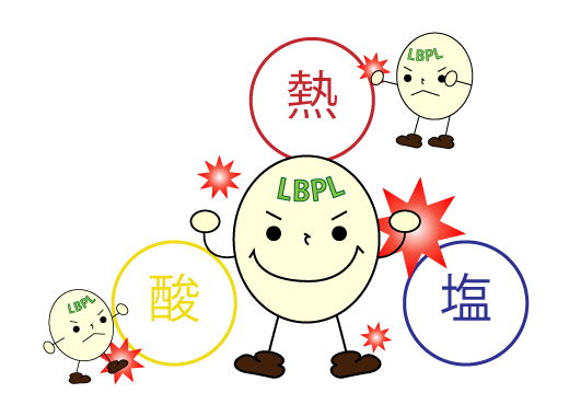 LBPLイメージ