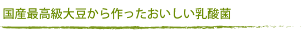 国産最高級大豆から作ったおいしい乳酸菌