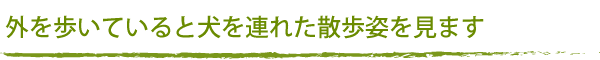 外を歩いていると犬を連れた散歩姿を見ます