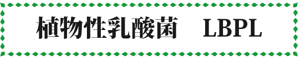植物性乳酸菌 LBPL